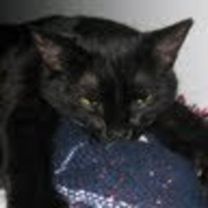 Meet your Posher, Krista